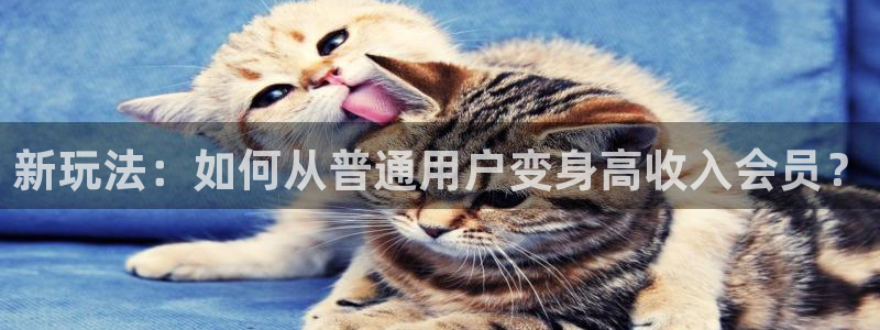 upload/20250701114914.jpg